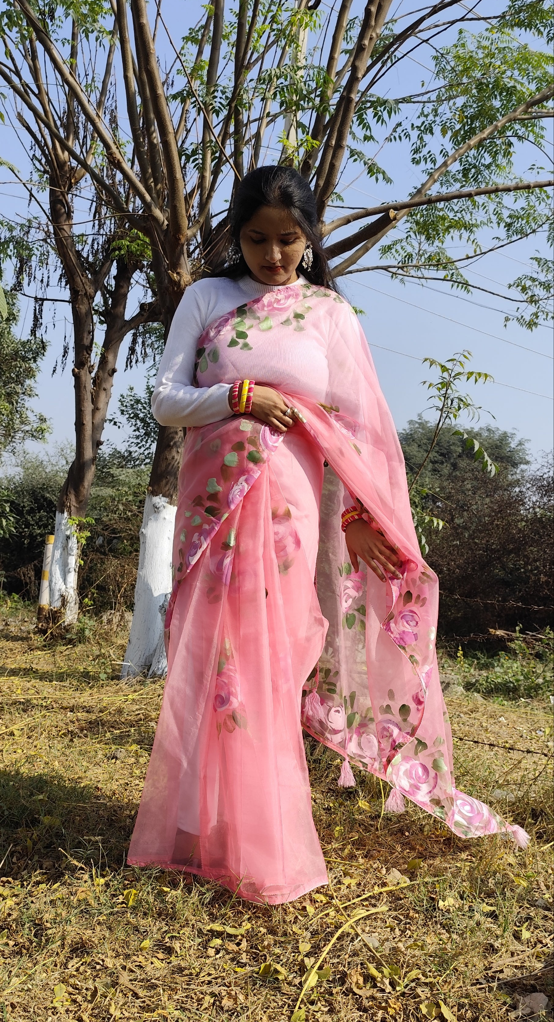 Pink hand painted organza silk saree