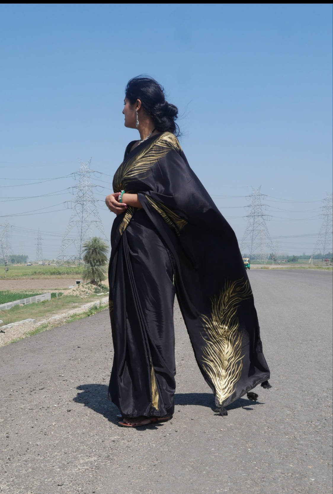 Black handpainted feather crepe silk saree