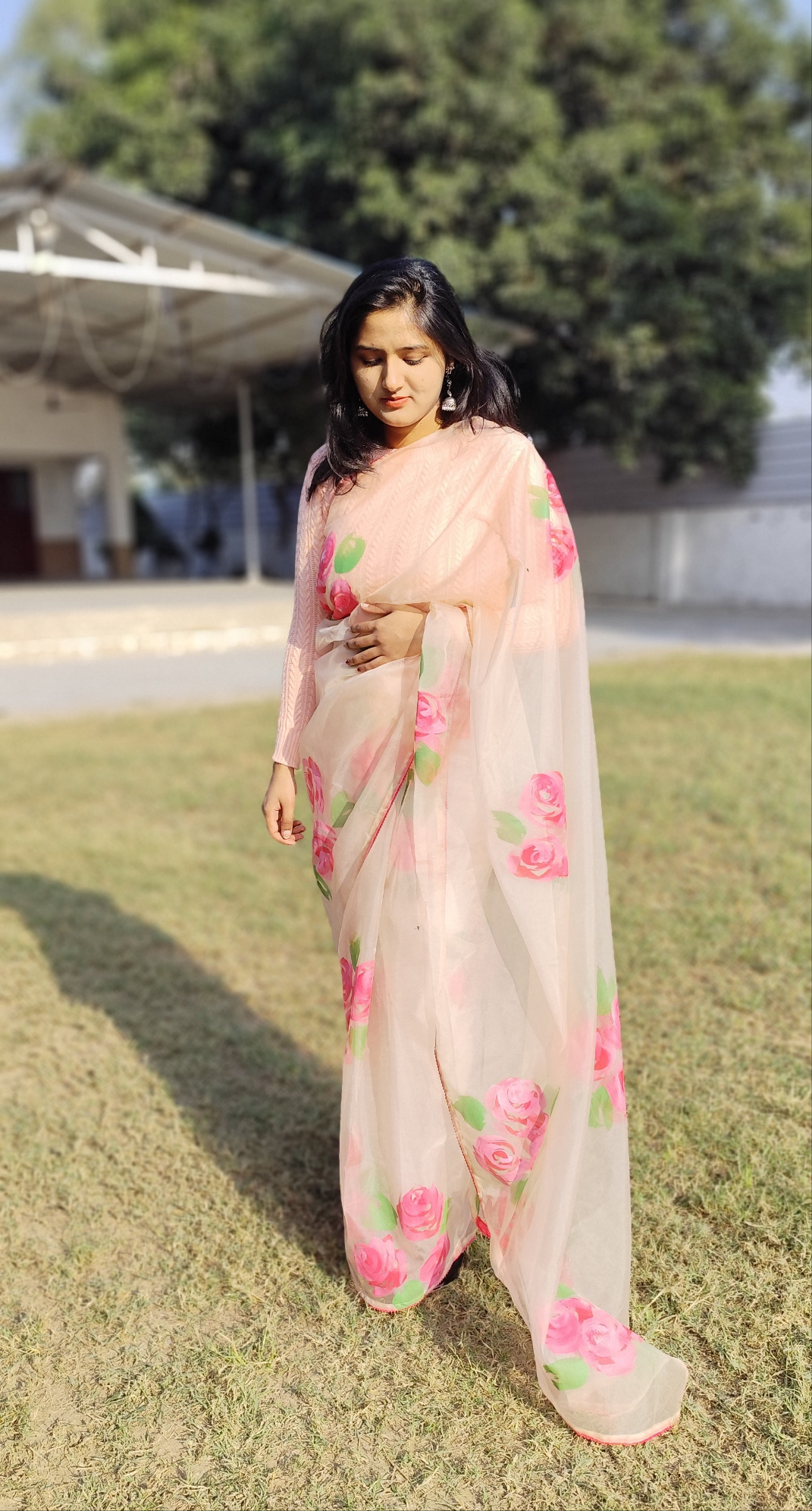 Hand painted  pastel pink roses saree for women