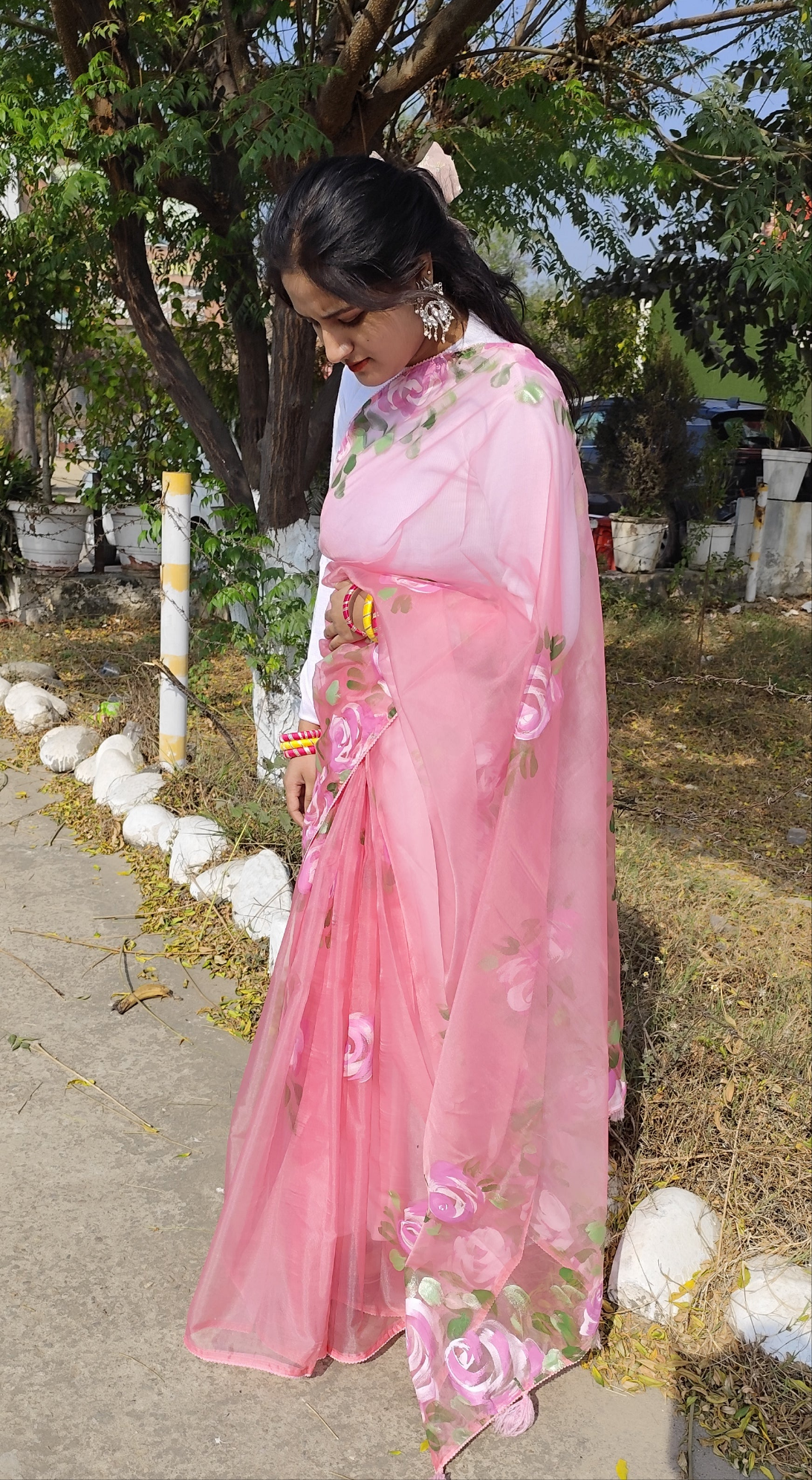 Pink hand painted organza silk saree