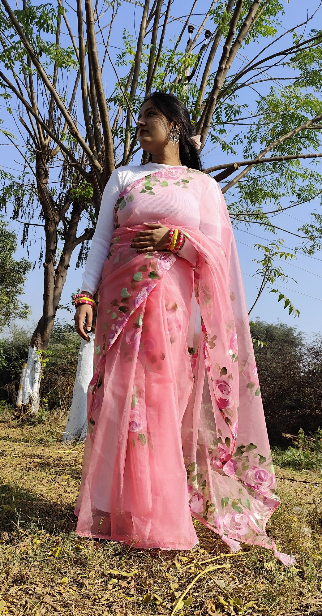 Pink hand painted organza silk saree