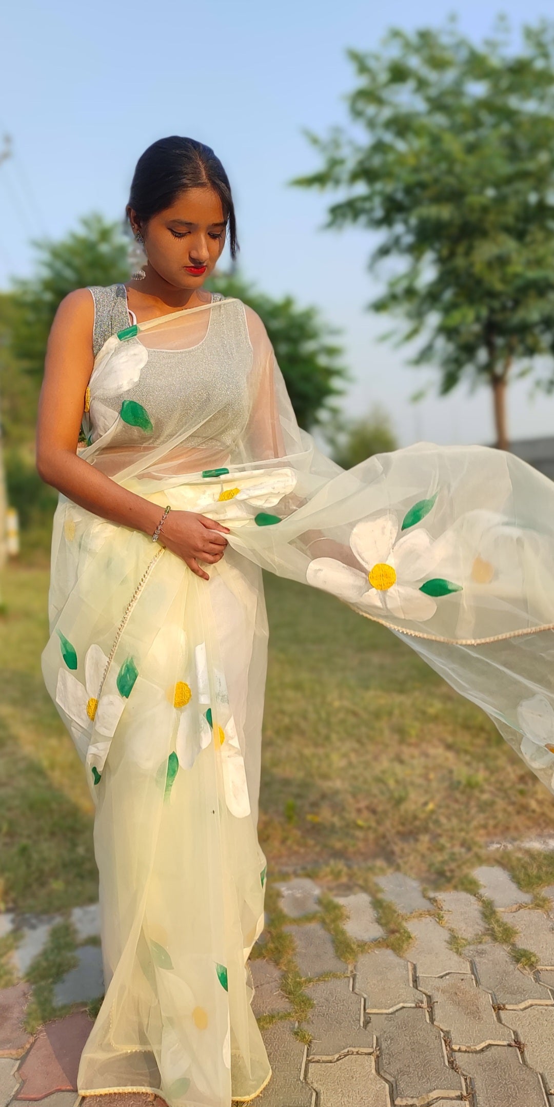 Handpainted  pista organza saree