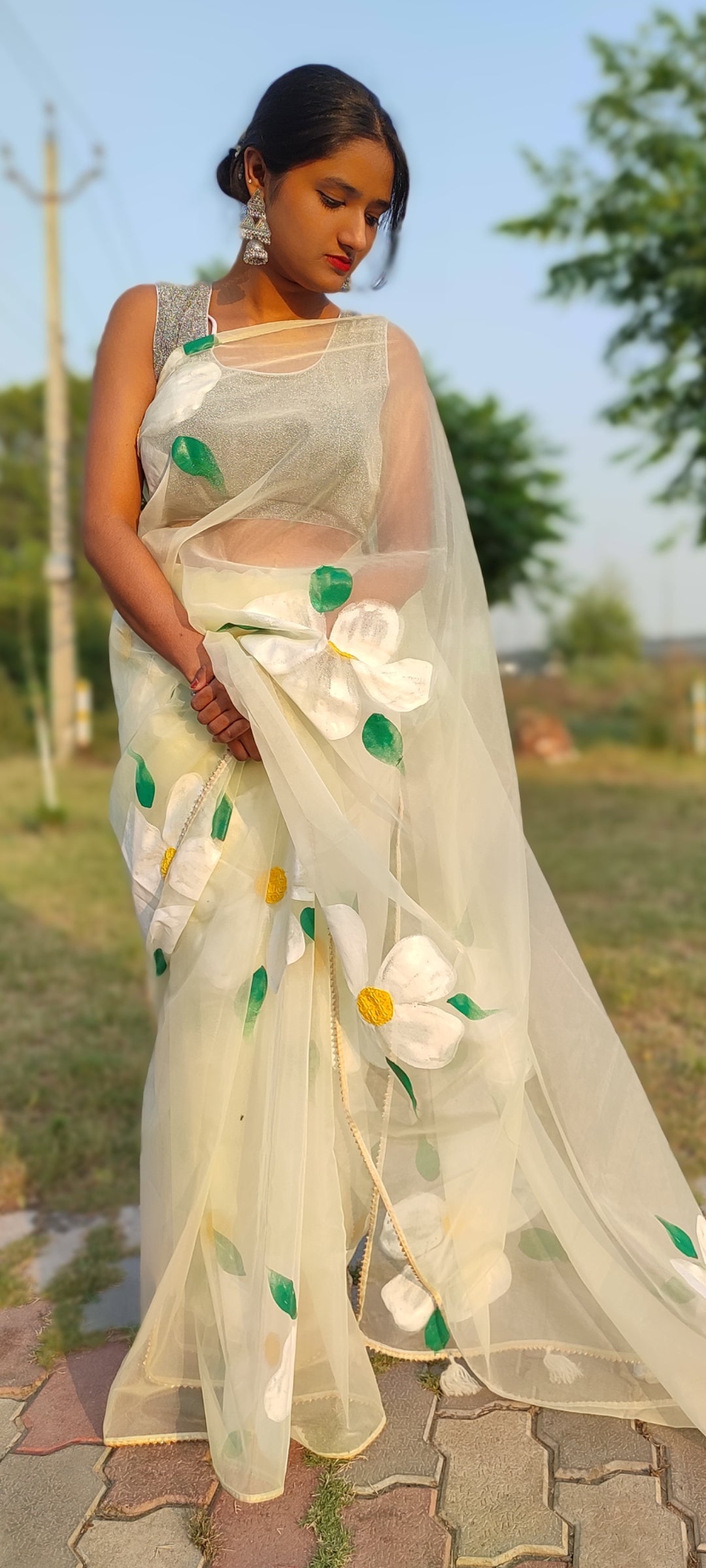 Handpainted  pista organza saree