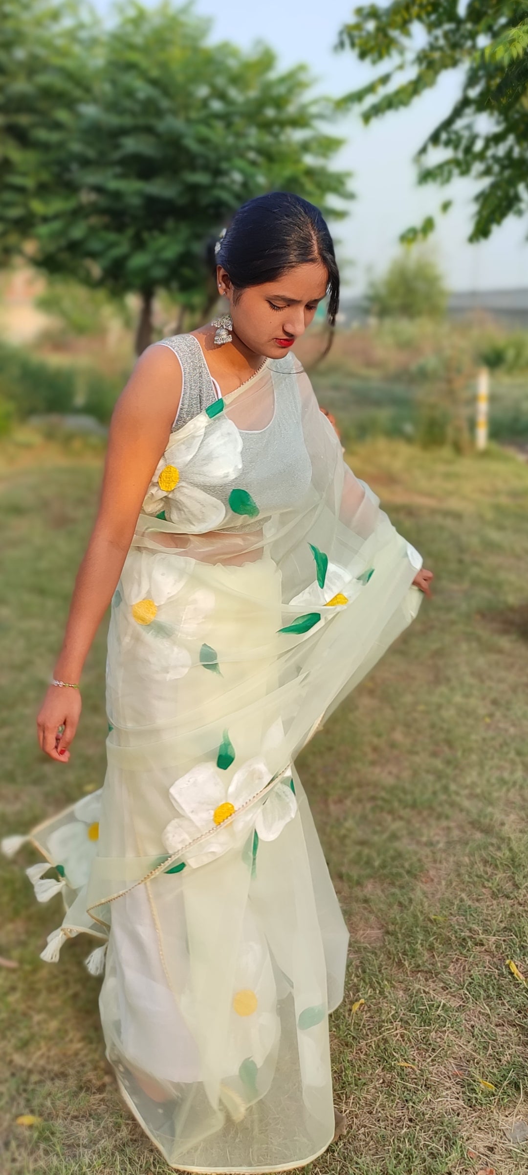 Handpainted  pista organza saree