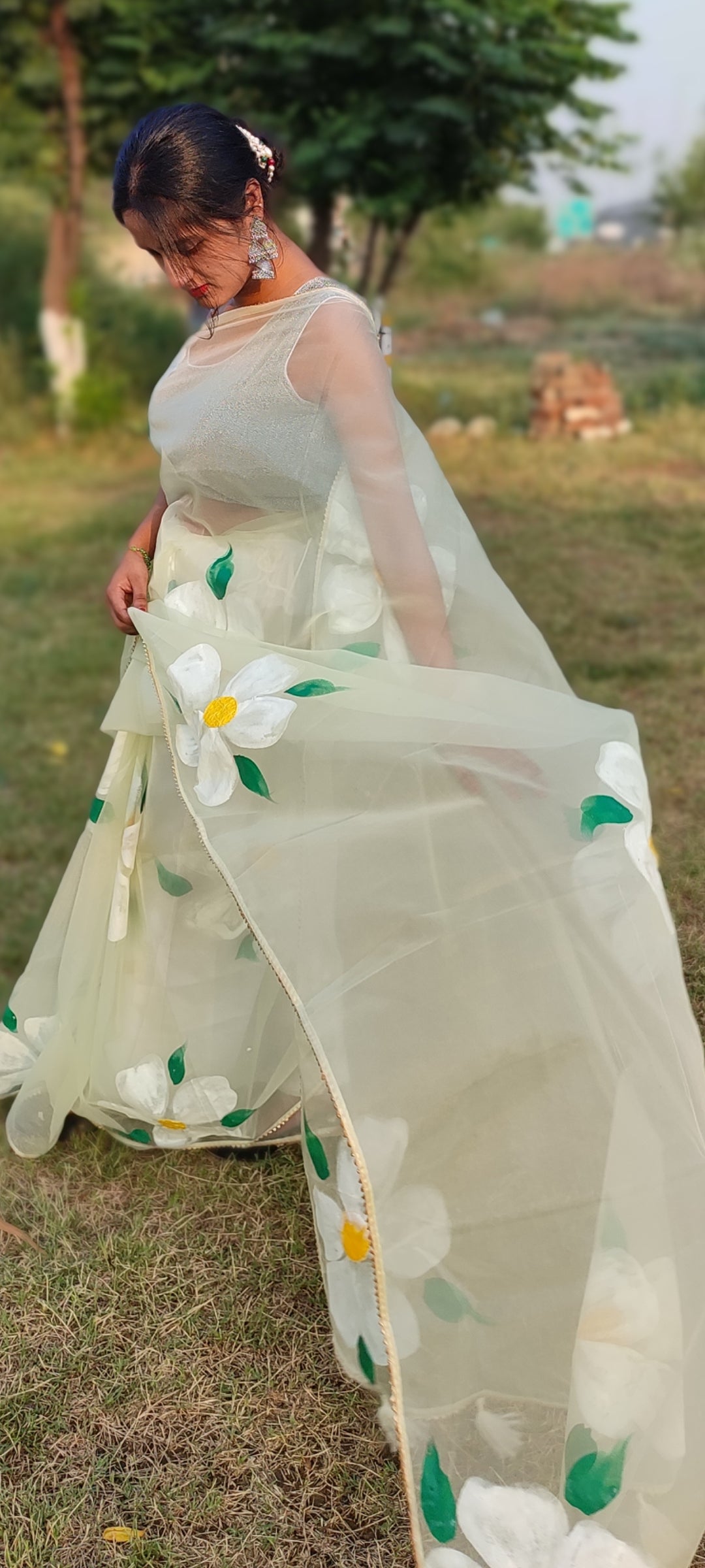 Handpainted  pista organza saree