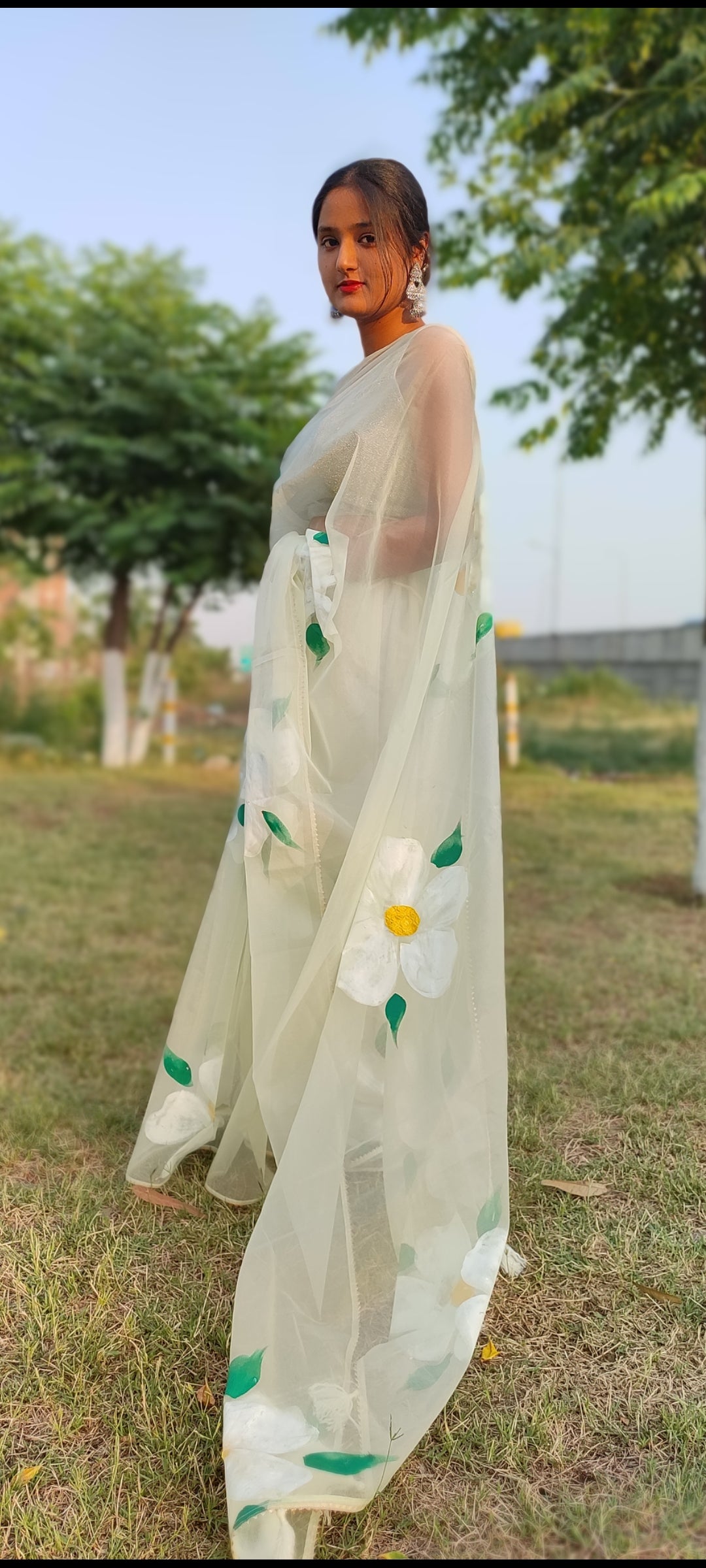 Handpainted  pista organza saree