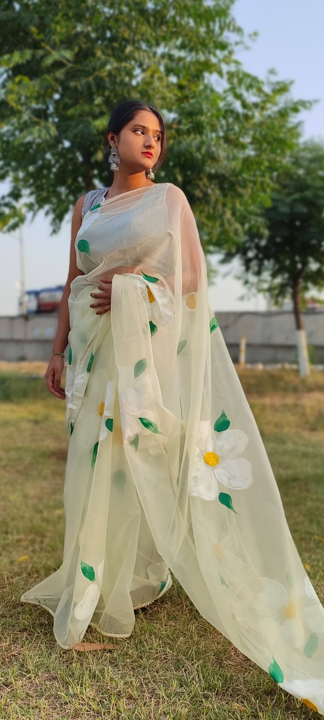 Handpainted  pista organza saree