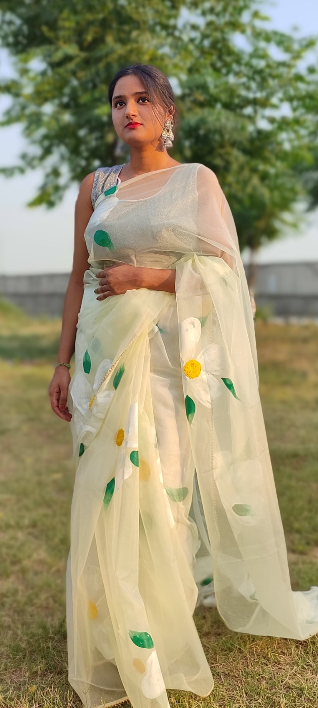 Handpainted  pista organza saree