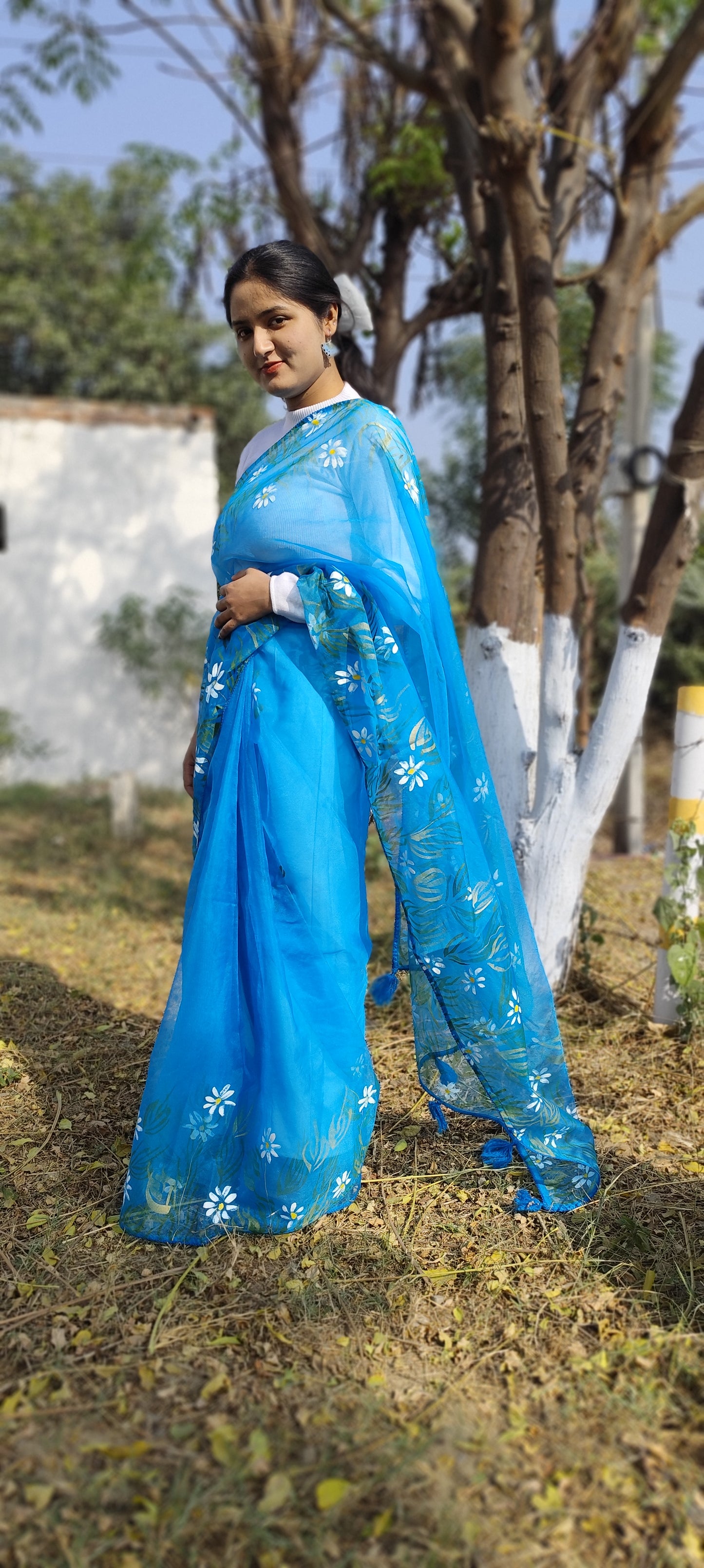 Sapphire Blue hand painted organza silk saree