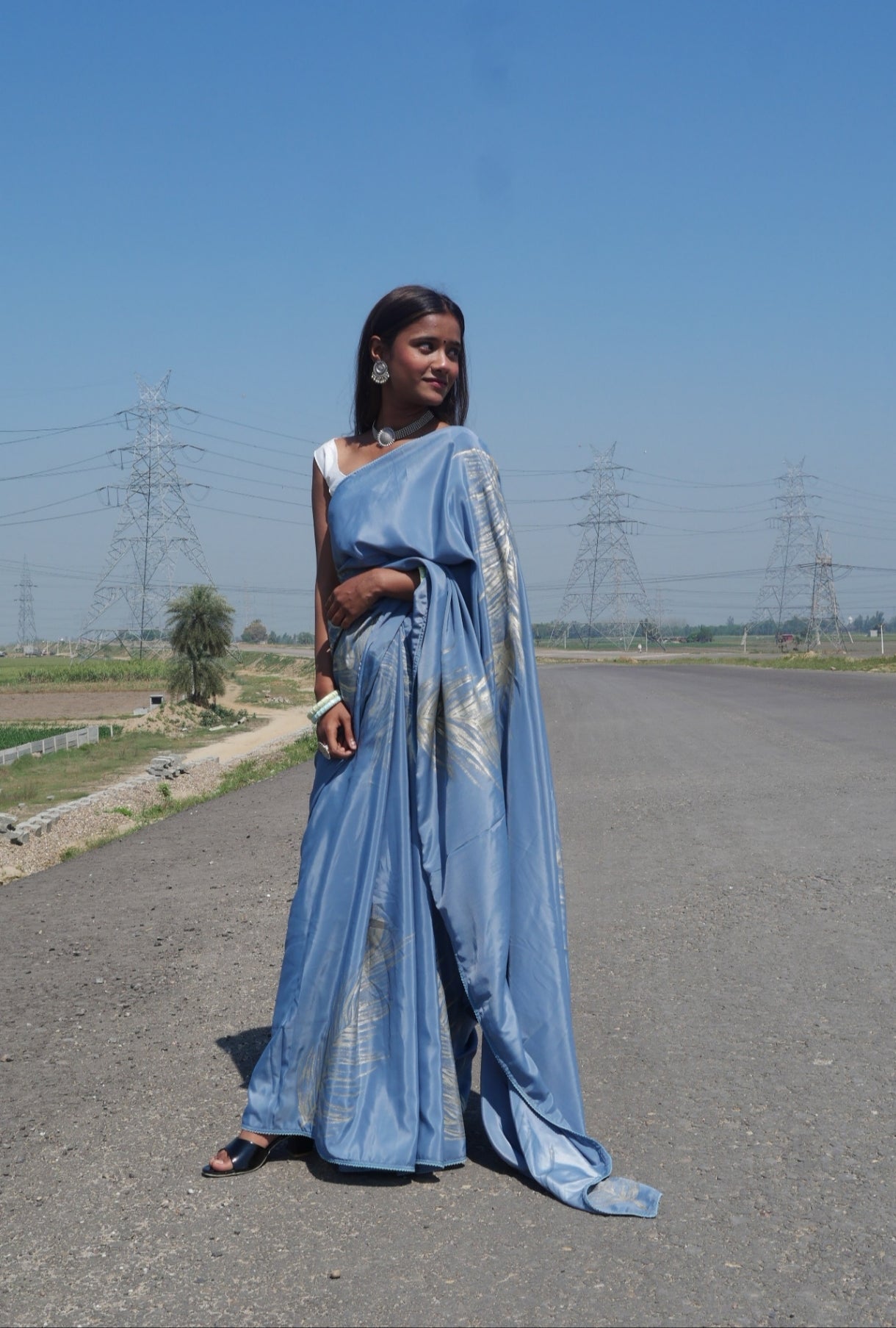 Grey crepe silk  handpainted feather saree