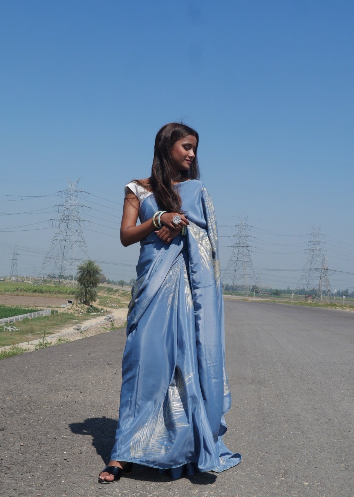 Grey crepe silk  handpainted feather saree
