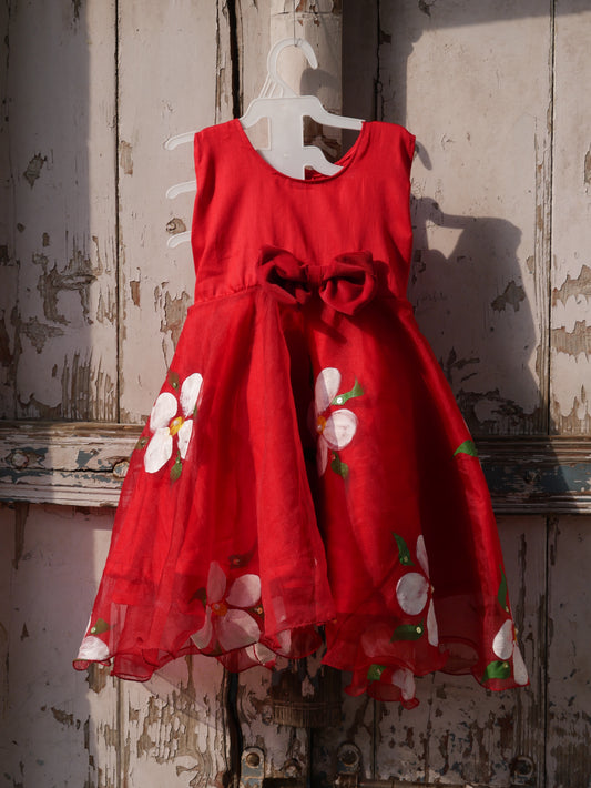 Red handpainted organza frock
