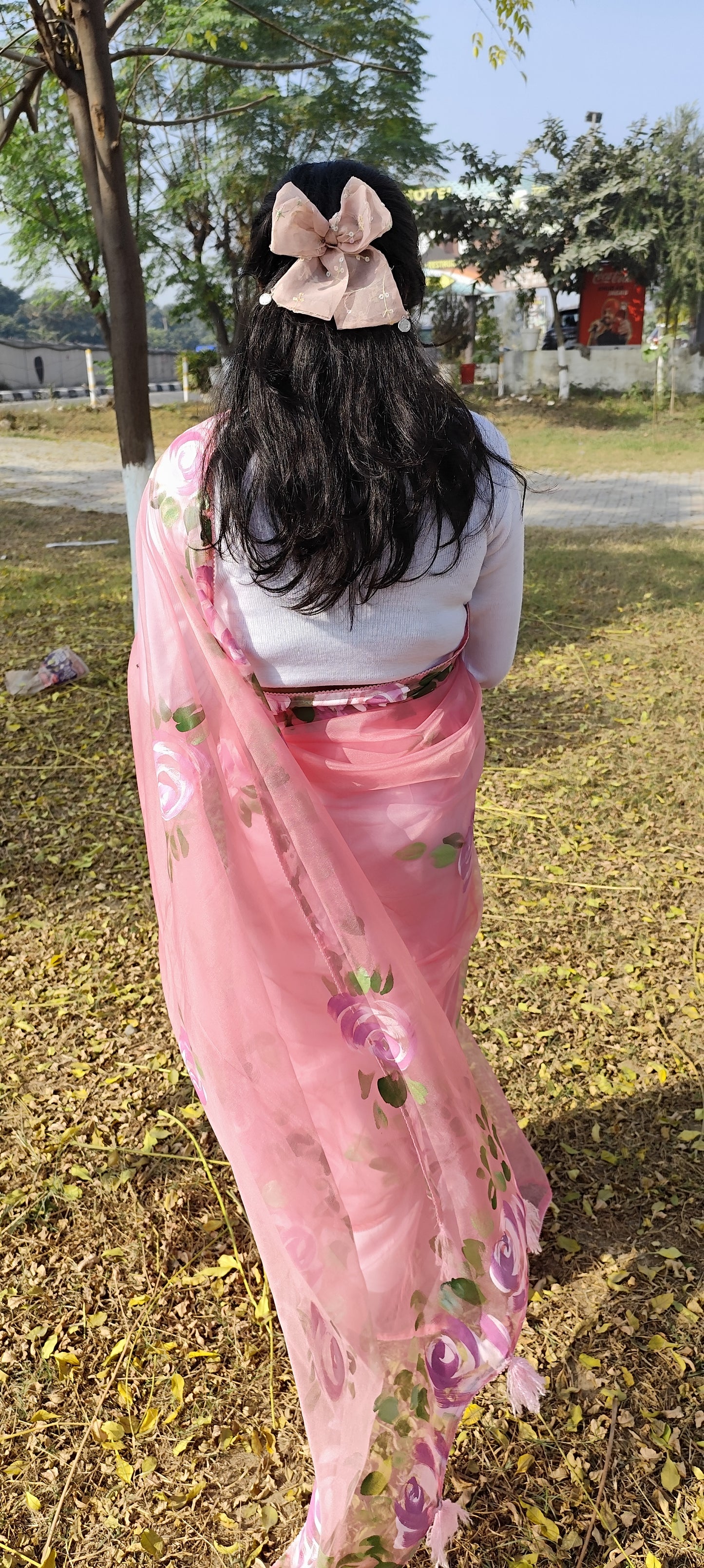 Pink hand painted organza silk saree