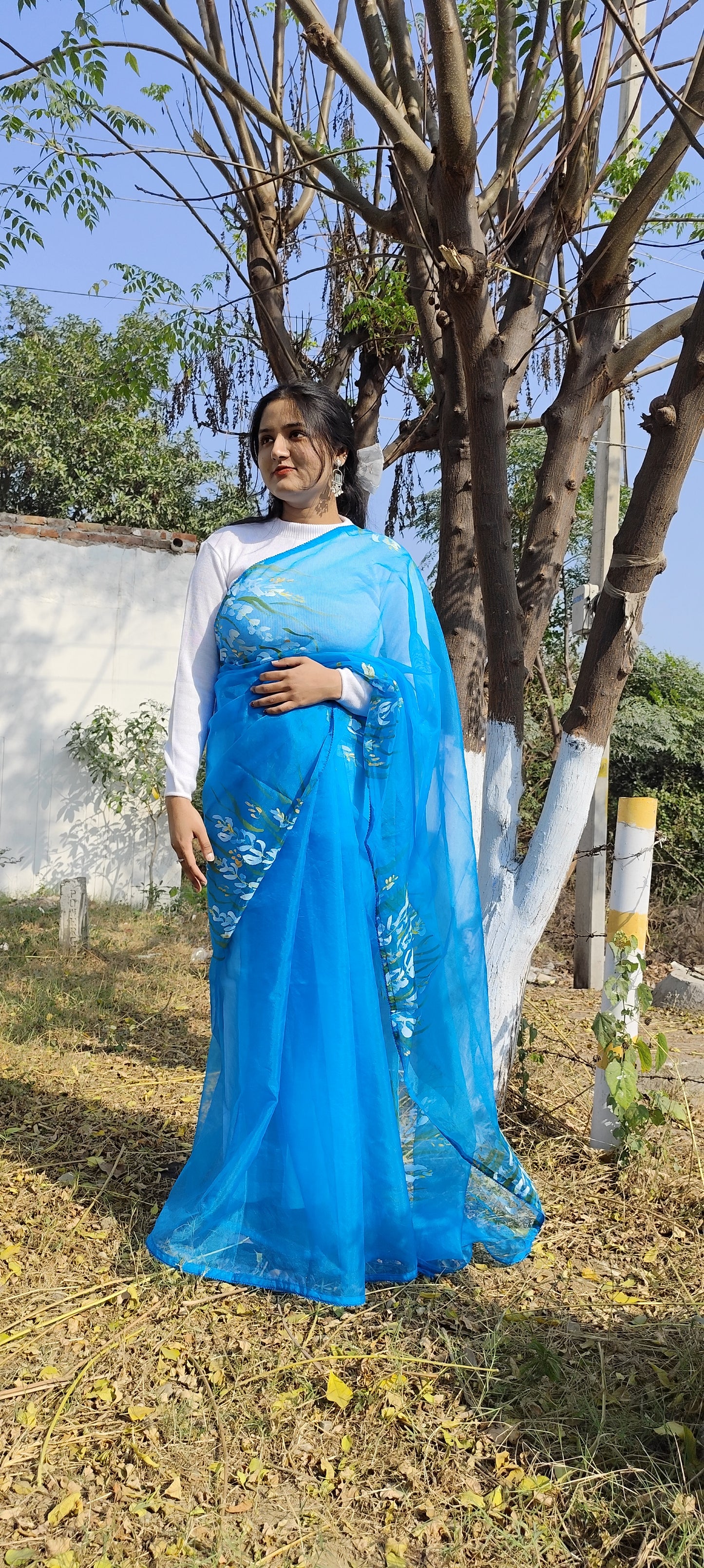 Sapphire Blue hand painted organza silk saree